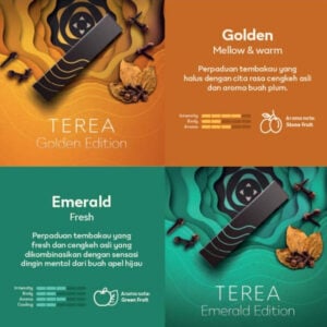 Terea Emerald Edition for IQOS 💨 ‣ Duty Free Price ‣ Only 4€👍